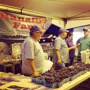 Tontitown Grape Festival